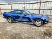 2009 Ford MUSTANG фото