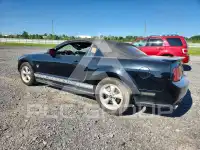 2009 Ford MUSTANG photo