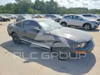 2009 Ford MUSTANG фото