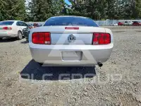 2009 Ford MUSTANG фото