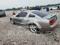 2009 Ford MUSTANG photo