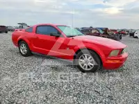 2009 Ford MUSTANG photo