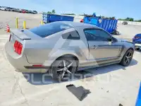 2009 Ford MUSTANG photo