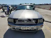 2009 Ford MUSTANG photo