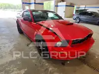 2009 Ford MUSTANG фото
