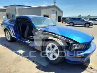 2009 Ford MUSTANG фото