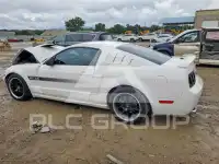 2009 Ford MUSTANG фото