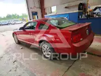 2009 Ford MUSTANG фото