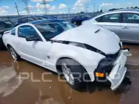 2009 Ford MUSTANG фото