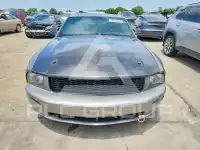 2009 Ford MUSTANG фото