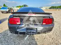 2009 Ford MUSTANG фото