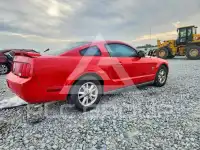 2009 Ford MUSTANG photo