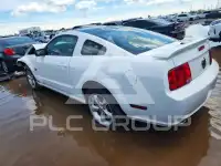 2009 Ford MUSTANG фото