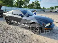 2009 Ford MUSTANG фото