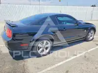 2009 Ford MUSTANG photo