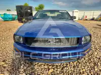 2009 Ford MUSTANG фото