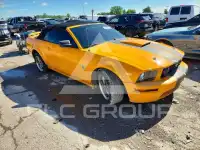 2009 Ford MUSTANG photo