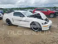 2009 Ford MUSTANG фото
