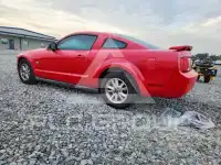 2009 Ford MUSTANG photo