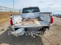 2009 Ford F-250 фото