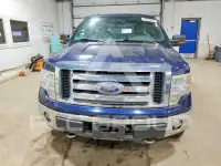 2009 Ford F-150 фото