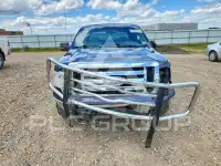 2009 Ford F-150 photo