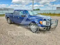 2009 Ford F-150 photo
