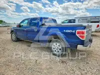 2009 Ford F-150 photo