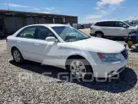 2009 Hyundai Sonata фото