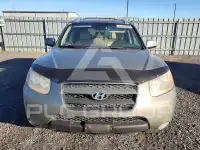 2009 Hyundai Santa Fe фото