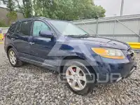 2009 Hyundai Santa Fe photo