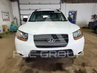 2009 Hyundai Santa Fe фото