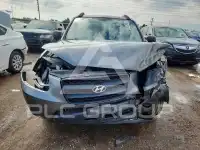 2009 Hyundai Santa Fe фото