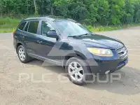 2009 Hyundai Santa Fe фото