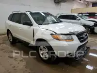 2009 Hyundai Santa Fe фото