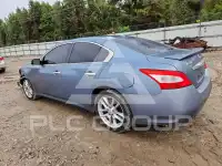 2010 Nissan MAXIMA photo