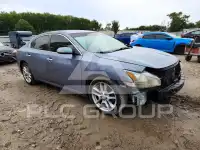 2010 Nissan MAXIMA photo