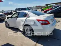 2010 Nissan MAXIMA photo