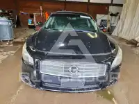2010 Nissan MAXIMA фото