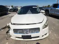 2010 Nissan MAXIMA photo