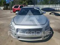 2010 Nissan MAXIMA фото