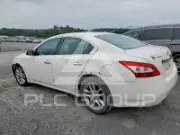 2010 Nissan MAXIMA фото