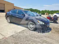 2010 Nissan MAXIMA фото