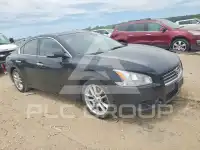 2010 Nissan MAXIMA фото