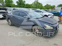 2010 Nissan MAXIMA фото