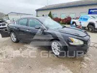2010 Nissan MAXIMA фото