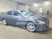 2010 Nissan MAXIMA фото