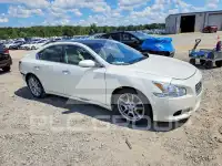 2010 Nissan MAXIMA фото