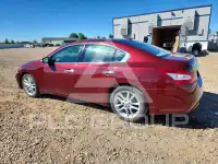 2010 Nissan MAXIMA photo