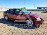 2010 Nissan MAXIMA photo